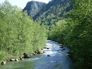 どのシーズンにも訪れたい白馬にある人気ホテル